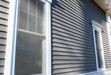 window and vinyl siding